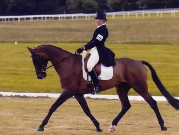 Chepstow dressage benz