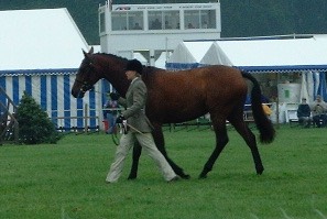 clover bramham 2002