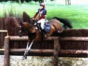 Augermist (Merc) Deceased